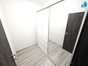 Pronájem bytu 1+kk, Plzeň - Východní Předměstí, Papírnická, 42 m2