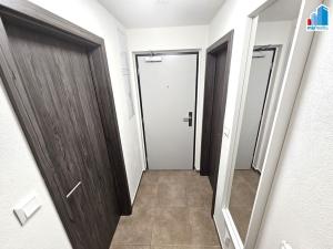 Pronájem bytu 1+kk, Plzeň - Východní Předměstí, Papírnická, 42 m2