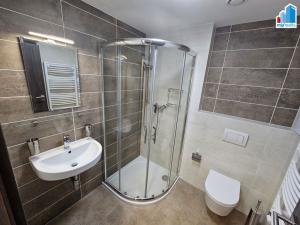 Pronájem bytu 1+kk, Plzeň - Východní Předměstí, Papírnická, 42 m2