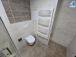 Pronájem bytu 1+kk, Plzeň - Východní Předměstí, Papírnická, 42 m2