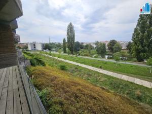 Pronájem bytu 1+kk, Plzeň - Východní Předměstí, Papírnická, 42 m2