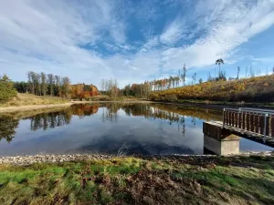 Pronájem rybníku, Krasonice, 11298 m2