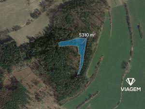 Prodej lesa, Pravonín, 5310 m2