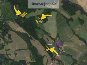 Prodej lesa, Úštěk - Držovice, 4976 m2