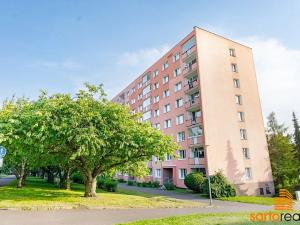 Prodej bytu 1+kk, Ústí nad Labem, Pod Parkem, 19 m2