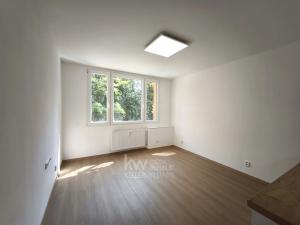 Pronájem bytu 1+kk, Tábor, Jaselská, 20 m2