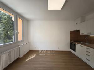 Pronájem bytu 1+kk, Tábor, Jaselská, 20 m2