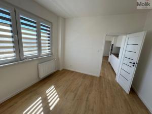 Pronájem bytu 3+1, Most, Hutnická, 73 m2