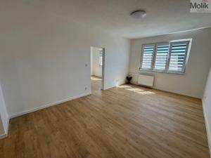 Pronájem bytu 3+1, Most, Hutnická, 73 m2