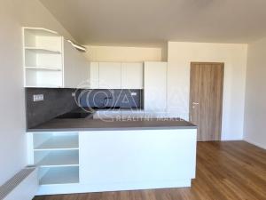 Pronájem bytu 2+kk, Brandýs nad Labem-Stará Boleslav - Brandýs nad Labem, Dřevčická, 65 m2