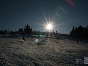 Prodej rodinného domu, Kraslice, Pod lesem, 135 m2