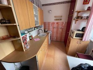Pronájem bytu 2+1, Lovosice, Wolkerova, 52 m2