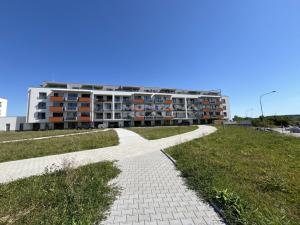 Pronájem bytu 1+kk, Olomouc, Aloise Rašína, 31 m2