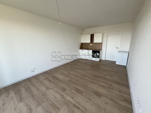 Pronájem bytu 1+kk, Olomouc, Aloise Rašína, 31 m2