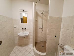 Pronájem bytu 1+kk, Prostějov, Poděbradovo nám., 23 m2