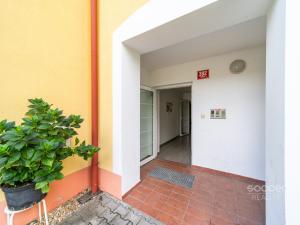 Prodej bytu 1+kk, Vestec, Okružní, 34 m2