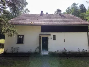 Prodej zemědělské usedlosti, Žihle - Kalec, 200 m2