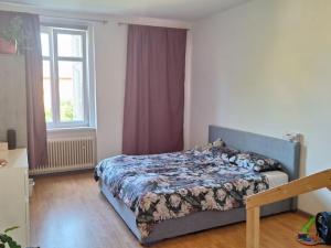 Pronájem bytu 2+1, Teplice, Jiřího Wolkera, 89 m2