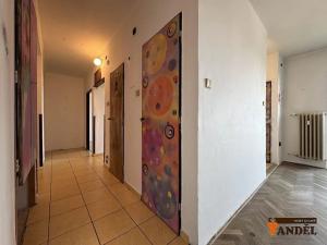 Prodej bytu 2+1, Havířov, Dělnická, 48 m2