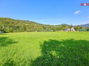 Prodej pozemku pro bydlení, Loučná nad Desnou - Kociánov, 8815 m2