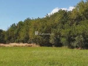 Prodej zahrady, Hranice - Hranice IV-Drahotuše, 1141 m2
