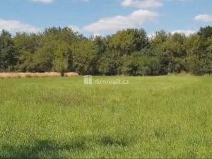 Prodej zahrady, Hranice - Hranice IV-Drahotuše, 1141 m2