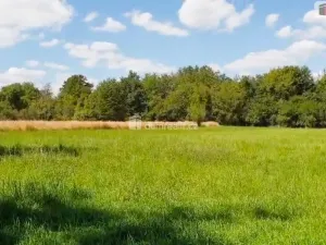 Prodej zahrady, Hranice - Hranice IV-Drahotuše, 1141 m2