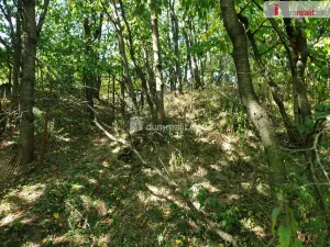 Prodej zahrady, Hranice - Hranice IV-Drahotuše, 1141 m2