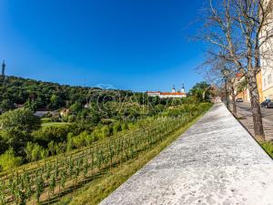 Pronájem bytu 2+kk, Praha - Hradčany, Loretánská, 110 m2