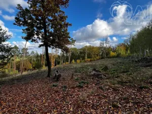 Prodej lesa, Štěchovice, 8586 m2