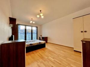 Prodej bytu 3+kk, Praha - Žižkov, Olšanská, 98 m2