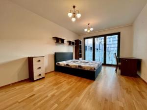 Prodej bytu 3+kk, Praha - Žižkov, Olšanská, 98 m2