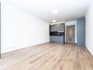 Pronájem bytu 1+kk, Praha - Háje, Výstavní, 33 m2