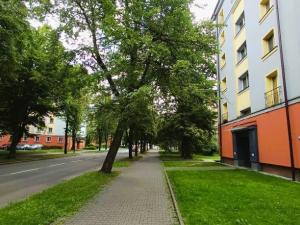 Pronájem bytu 1+1, Ostrava, Čujkovova, 29 m2