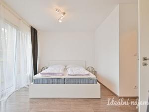 Pronájem bytu 2+kk, Slavkov u Brna, Kaunicova, 61 m2
