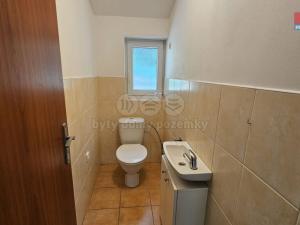Pronájem bytu 1+1, Rychnov nad Kněžnou, Na Dubince, 90 m2