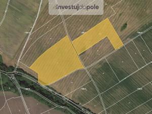 Prodej pole, Úštěk - Dolní Vysoké, 31494 m2