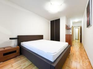 Pronájem bytu 2+kk, Praha - Žižkov, Pitterova, 60 m2