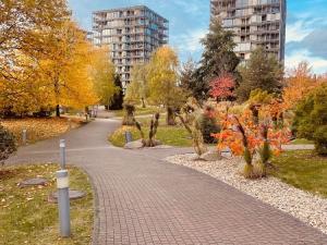 Pronájem bytu 2+kk, Praha - Žižkov, Pitterova, 60 m2