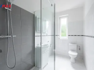 Prodej komerční nemovitosti, Měchenice, Hlavní, 330 m2