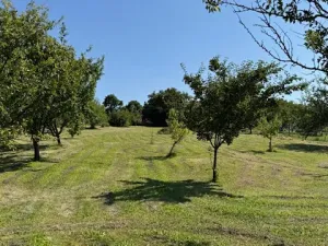 Prodej rodinného domu, Roštín, 172 m2