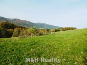 Prodej louky, Čeladná, 13031 m2