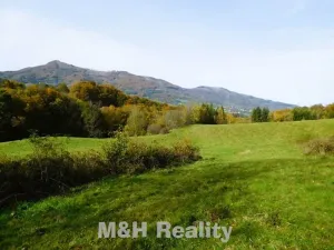 Prodej louky, Čeladná, 13031 m2