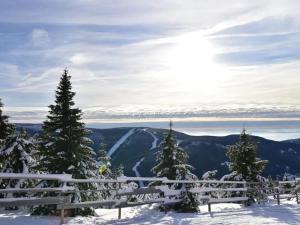 Pronájem bytu 1+1, Špindlerův Mlýn, 25 m2