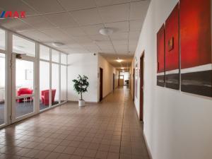 Pronájem kanceláře, Hradec Králové - Slezské Předměstí, Bieblova, 35 m2