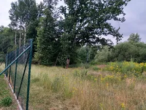 Dražba pozemku, Okna, 6791 m2
