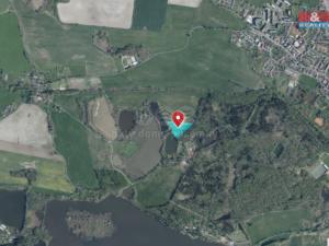 Prodej louky, Františkovy Lázně, 13846 m2