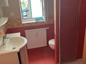 Pronájem bytu 1+kk, České Budějovice, Branišovská, 25 m2