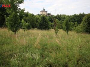 Prodej louky, Frýdlant, 25331 m2