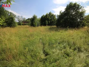 Prodej louky, Frýdlant, 25331 m2